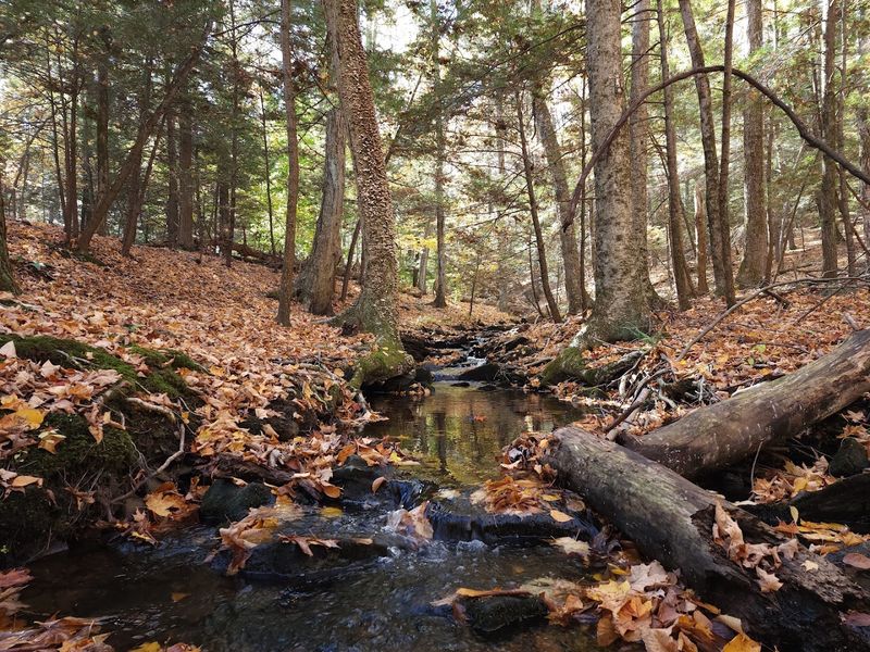 Hampden County