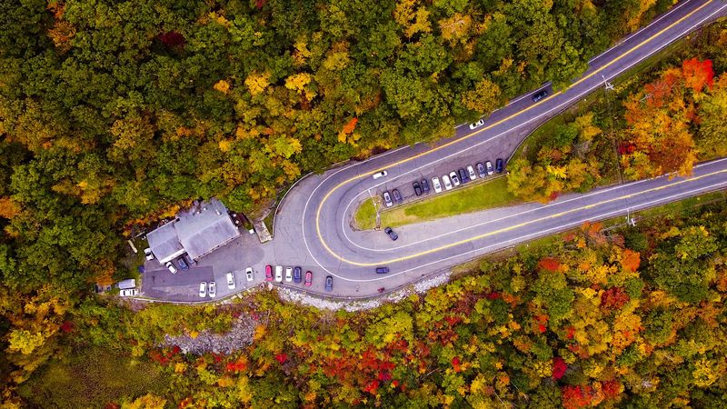 Scenic Drives Worth Every Mile