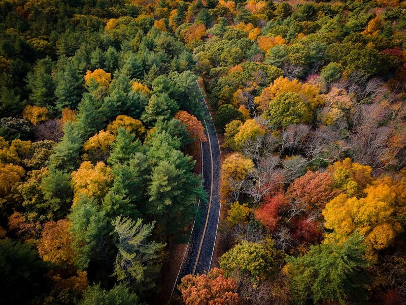 Blue Hills Reservation, Milton