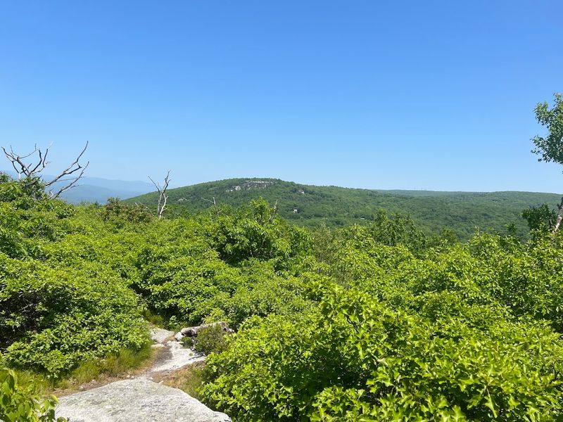 Shawangunk Mountains Lookout