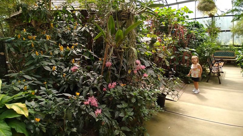 Walk Among Tropical Plants Bursting With Color
