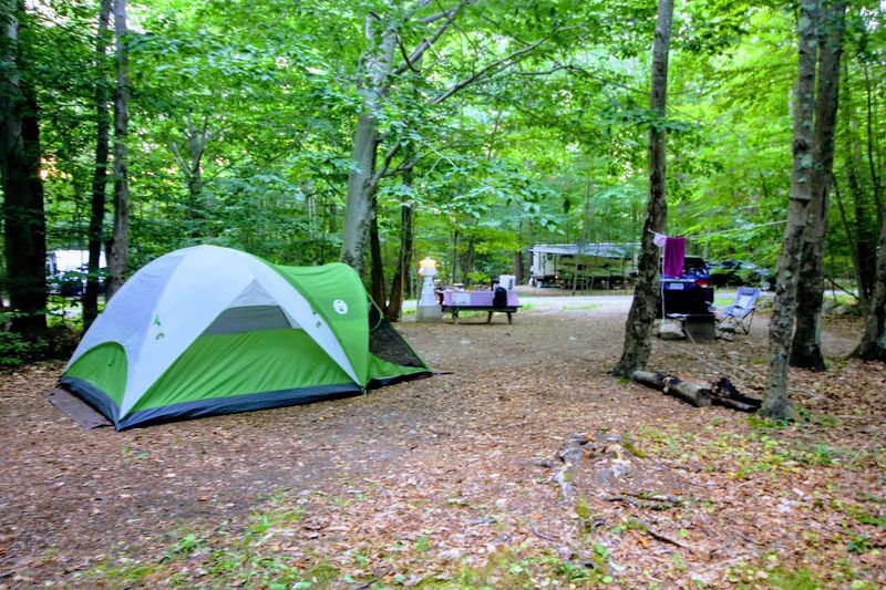 Camp Under Starlit Skies