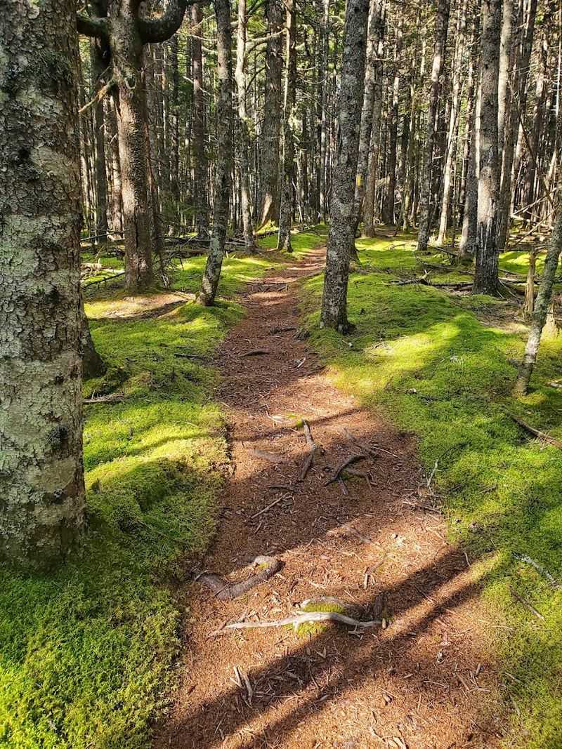 Walk The Peaceful Trails