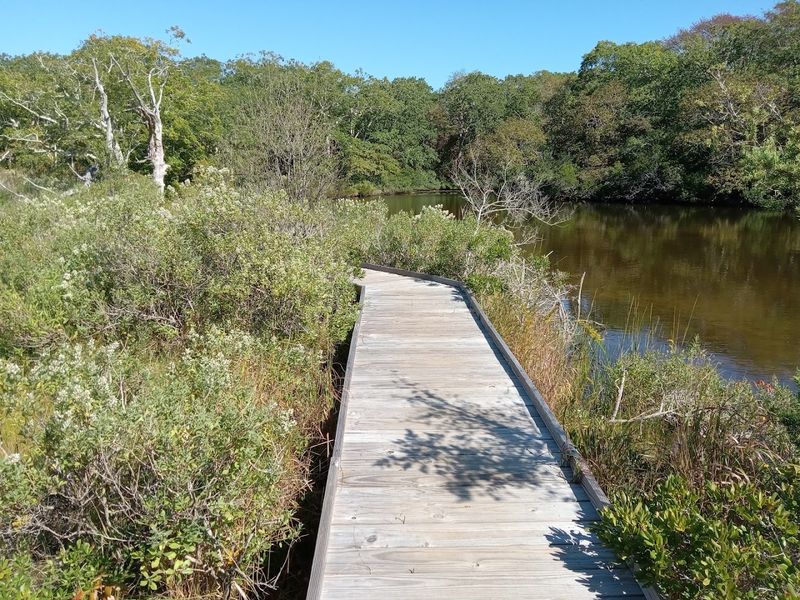 Felix Neck Wildlife Sanctuary