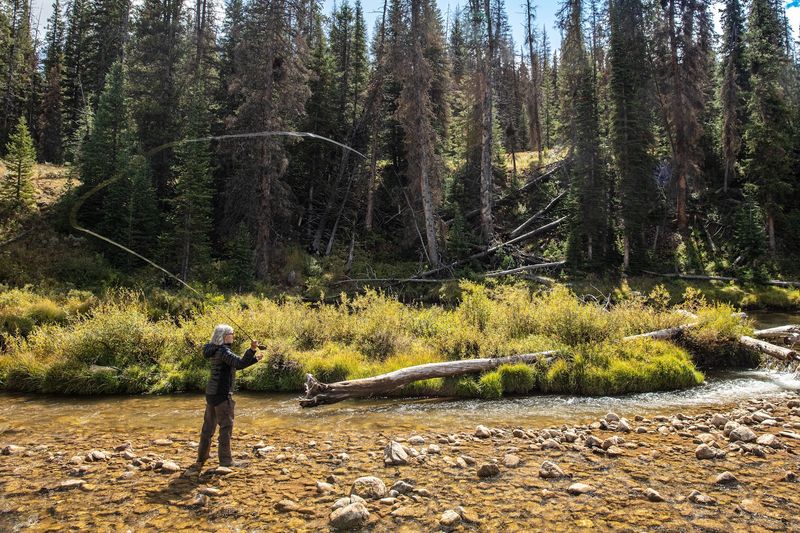 Fly Fishing In Pure Solitude