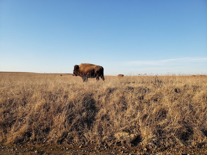 Tallgrass Prairie Preserve, Pawhuska, Oklahoma