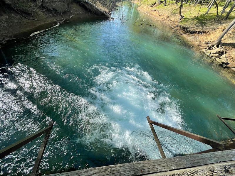 Blue Spring Releases 38 Million Gallons Every Day