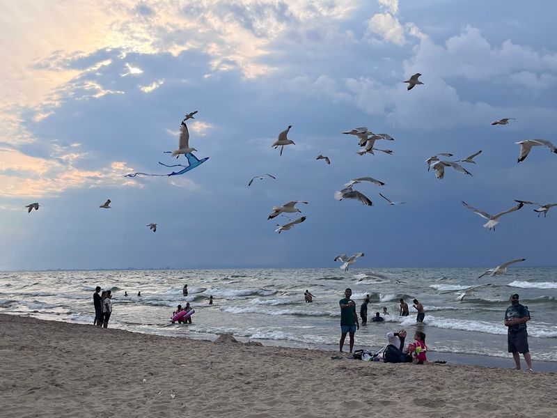 Three Connected Loops Turn A Beach Day Into A 3.4 Mile Adventure