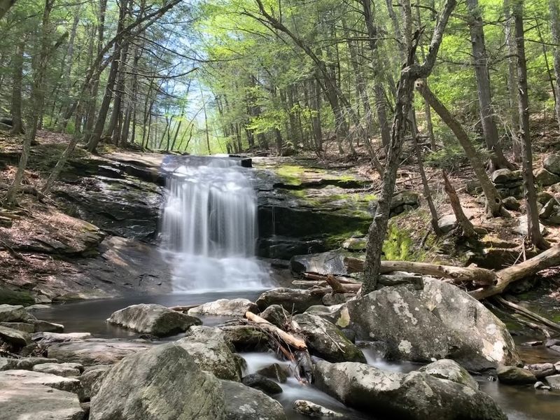 Water's Grand Descent