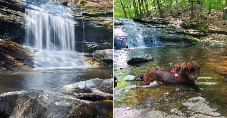 One Of Massachusetts’ Most Scenic Swimming Holes Is Worth Planning A Trip Around In 2026