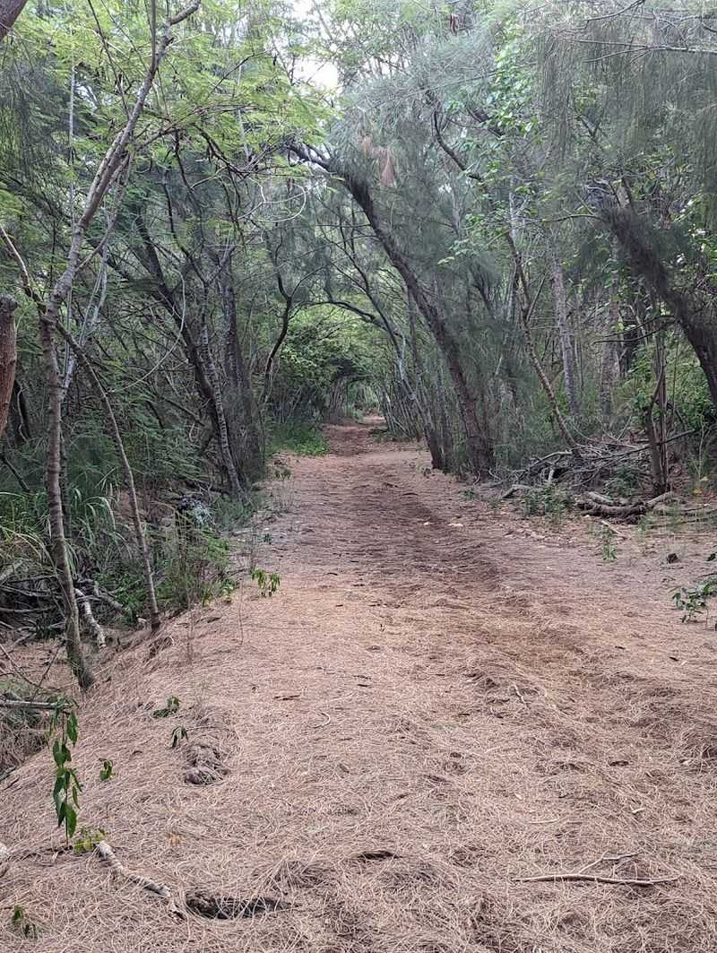 Tips For Safe And Enjoyable Hiking