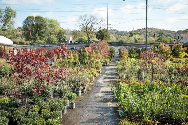 Creating Magical Outdoor Spaces With Plants