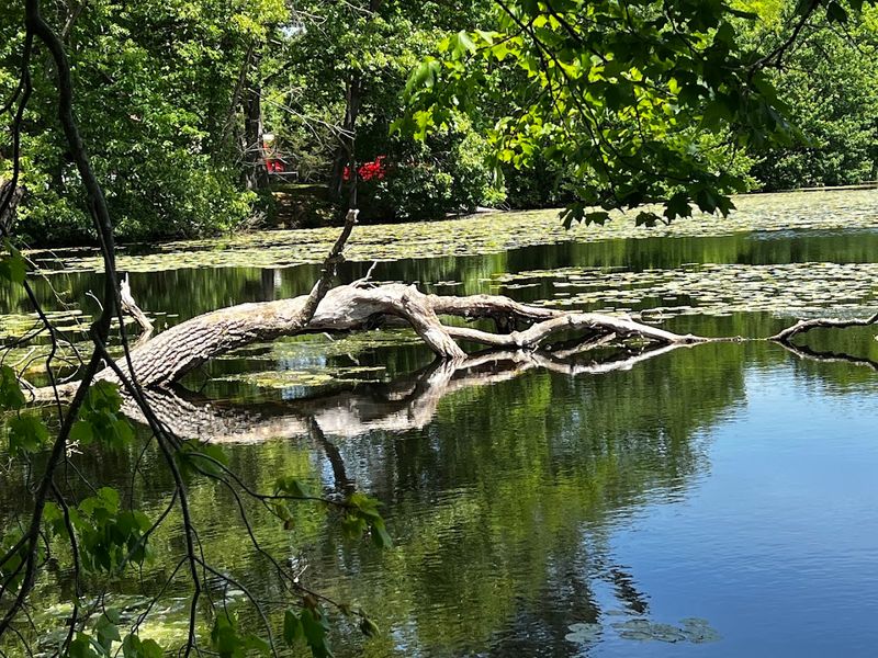 Morses Pond Beach