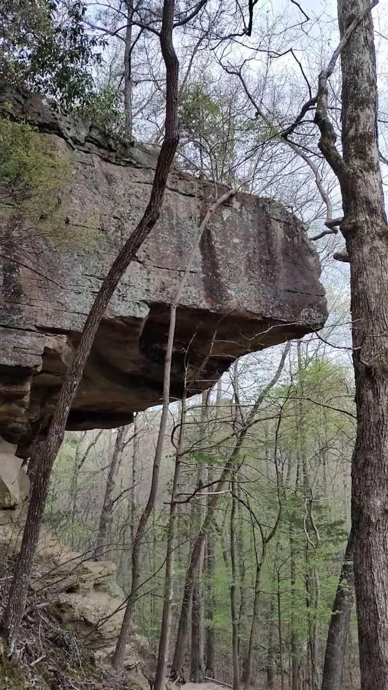 Geological Formation Behind Natural Springs