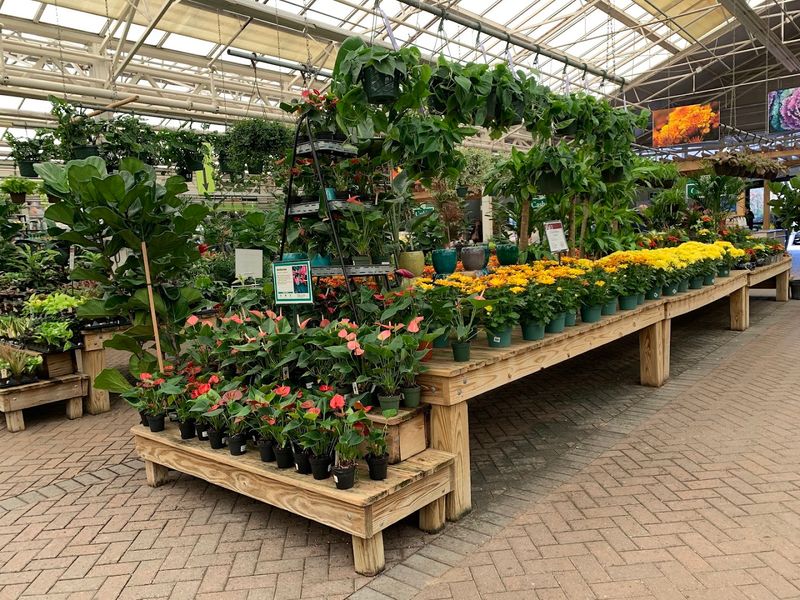 Why Plant People Keep Coming Back Year After Year