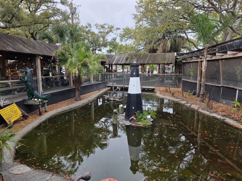 Family Friendly Atmosphere And Activities
