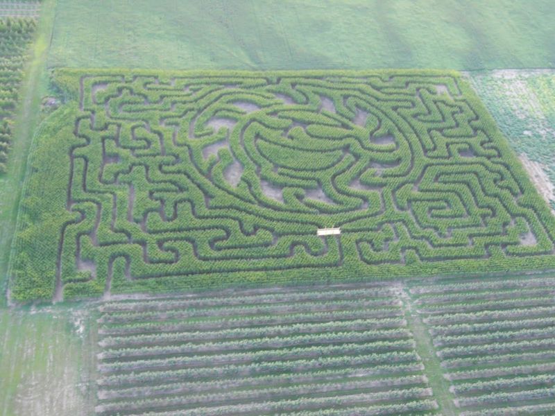 The Corn Maze That Actually Challenges You