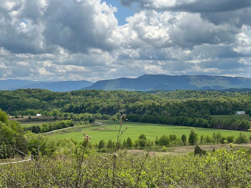 Tennessee's Only Dedicated State Birding Park
