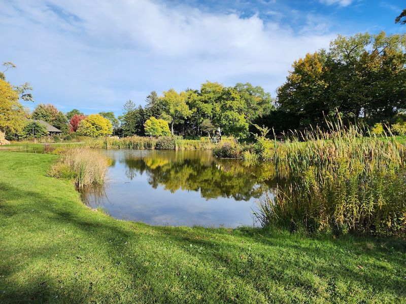 Peaceful Ponds And Wildlife-Filled Meadows