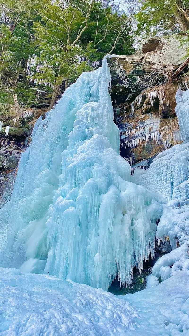 Every Season Brings A Brand New Preserve