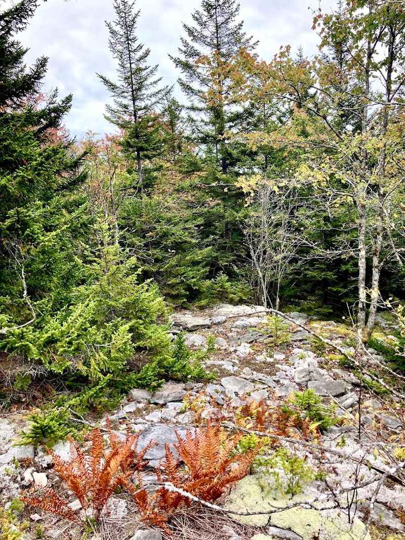 Trails Made For Every Kind Of Explorer