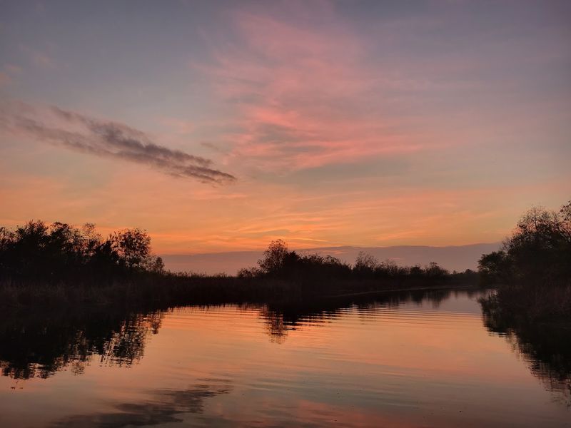 Birdwatcher's Dream Spot