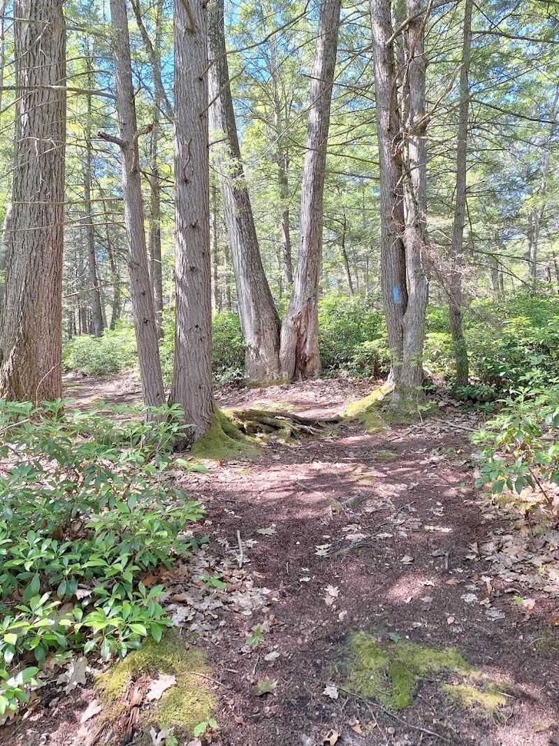Trails Worth Every Step