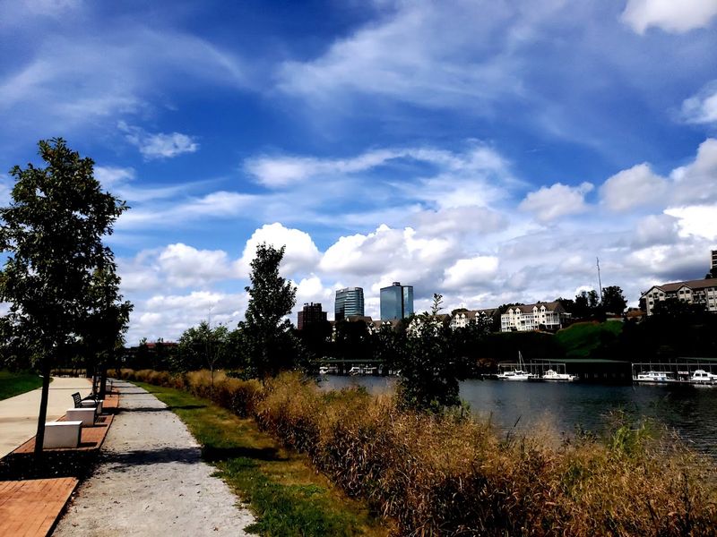 Paths Along The Current