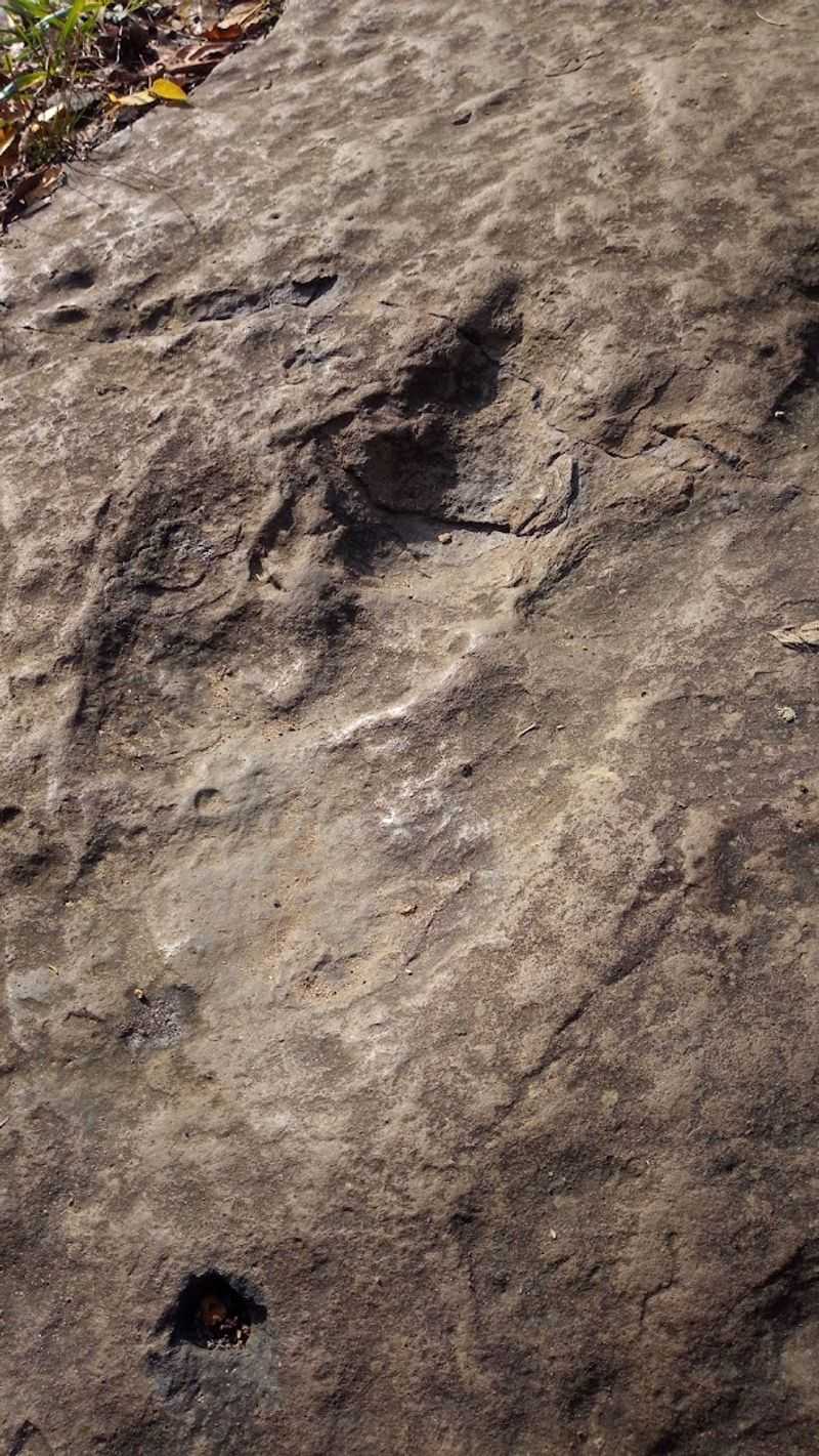 The Trail Of Herding Giants
