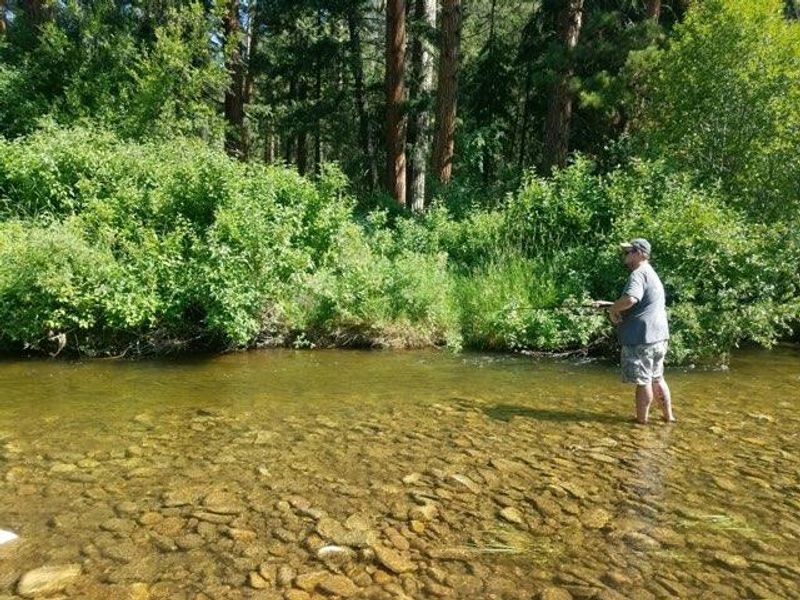 Essential Gear For Remote Stream Fishing