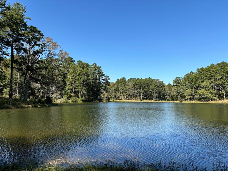 Golden Memorial State Park 