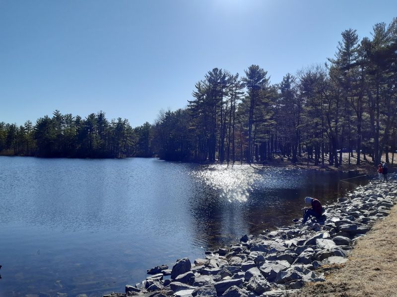 Crow Hill Pond At Leominster State Forest, Leominster