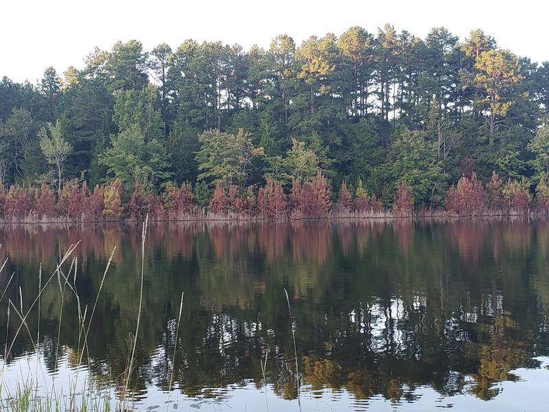 Trace State Park