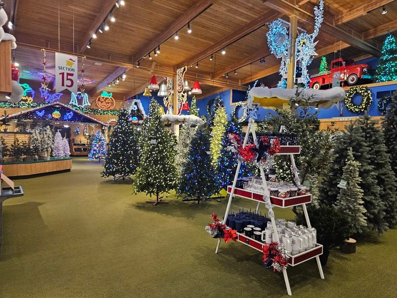 The Outdoor Light Display Is A Nightly Event