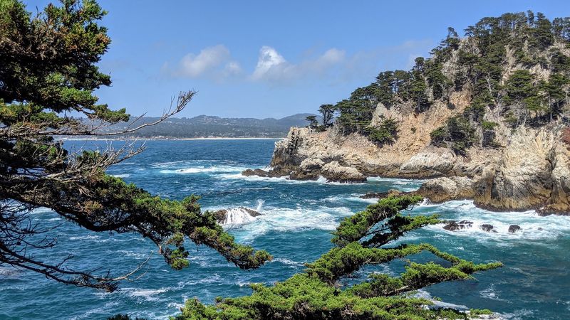 Point Lobos Splendor