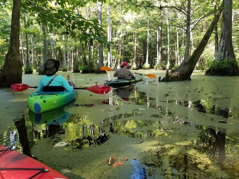 Guided Tours And Educational Programs Availability