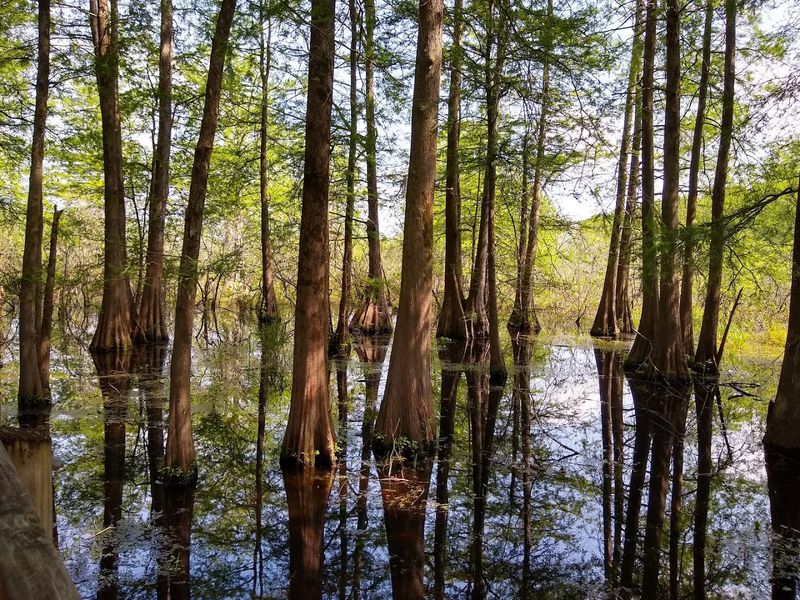 Conservation Worth Celebrating