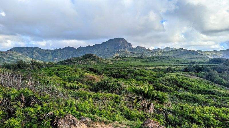 Conservation Efforts Protecting The Habitat