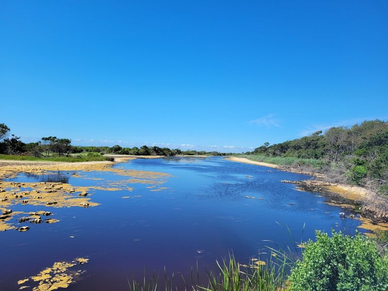 Local Marine Life And Tide Pool Exploration