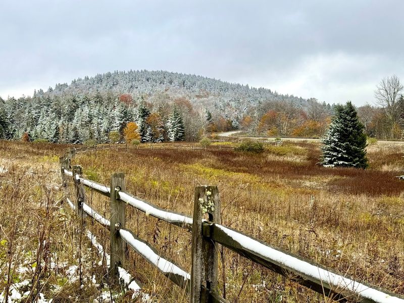 Seasonal Foliage And Natural Color Changes