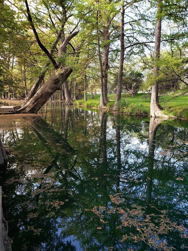 Environmental Impact Of Swimming In Nature