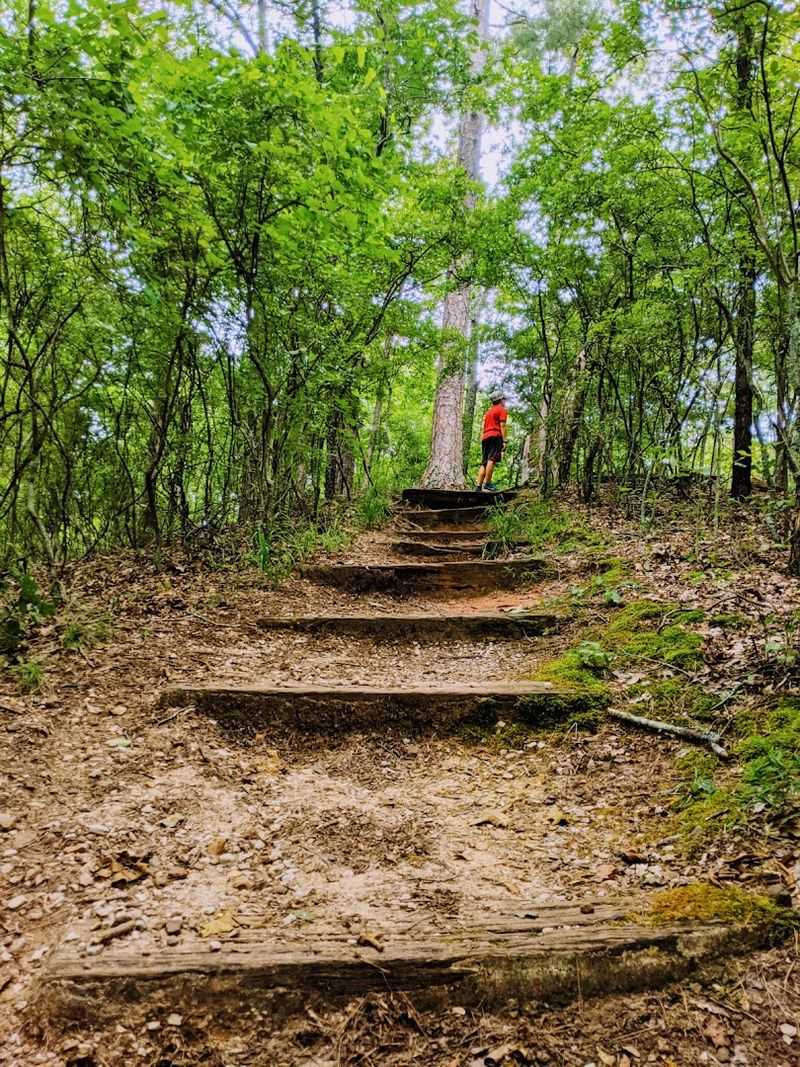 Big Hill Pond State Park, Pocahontas