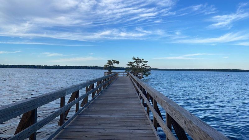 Reelfoot Lake