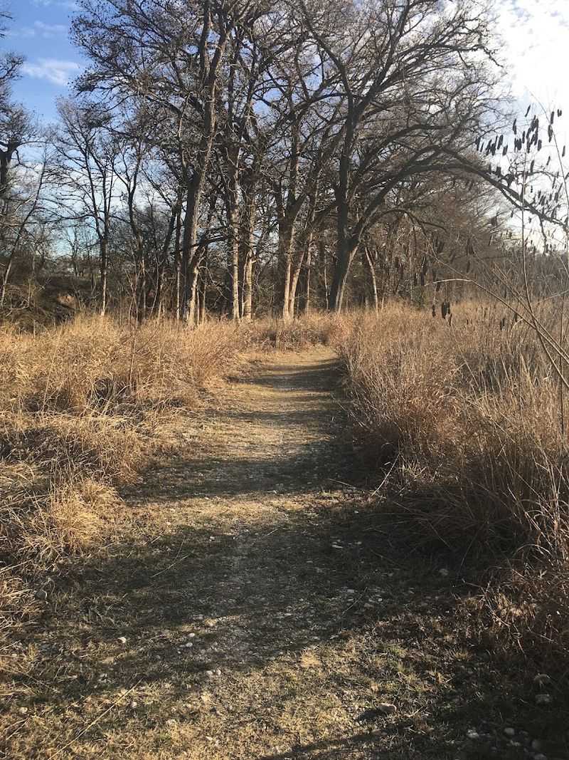 The Wildlife Blind Rewards Anyone Willing To Slow Down And Watch
