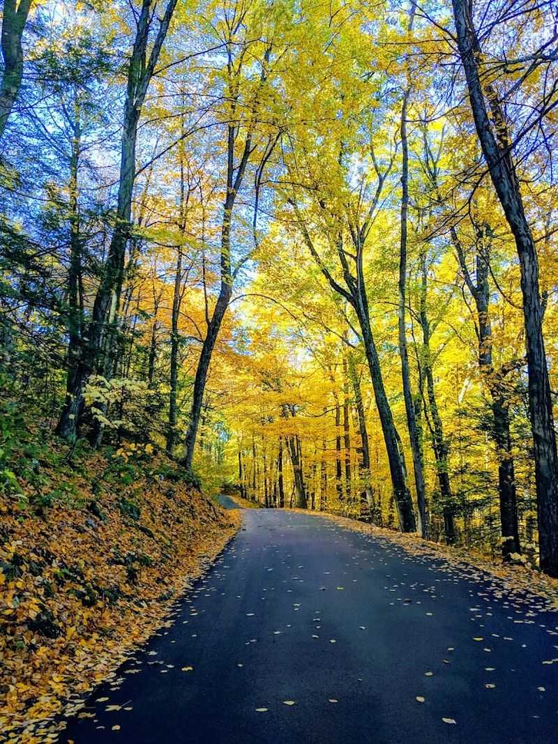 Driving To The Summit Is An Option Worth Knowing About