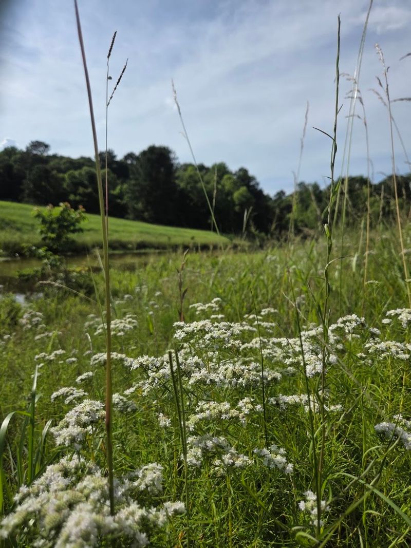Hiking Trails Connecting Diverse Landscapes