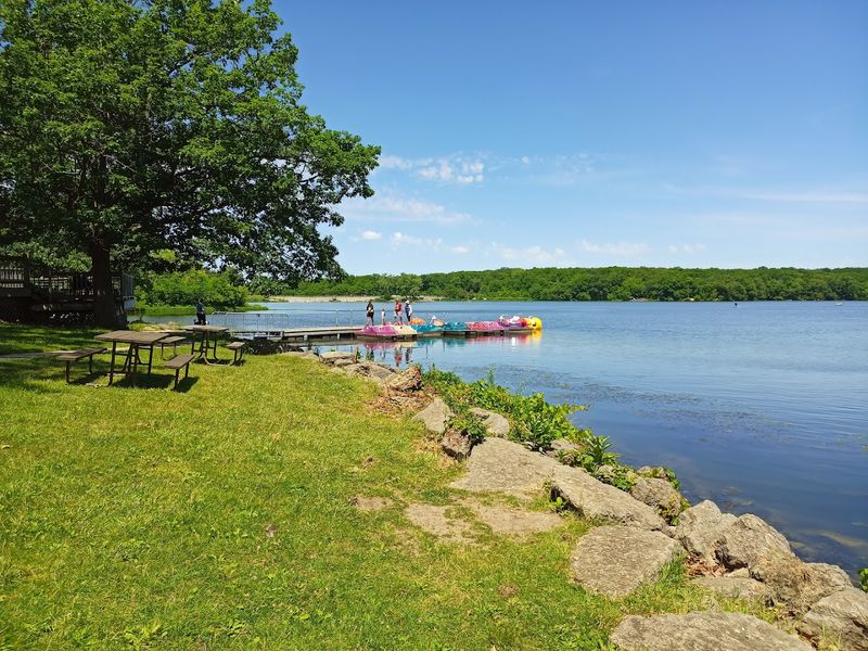Olson Lake And The Only Swimming Spot In The Park