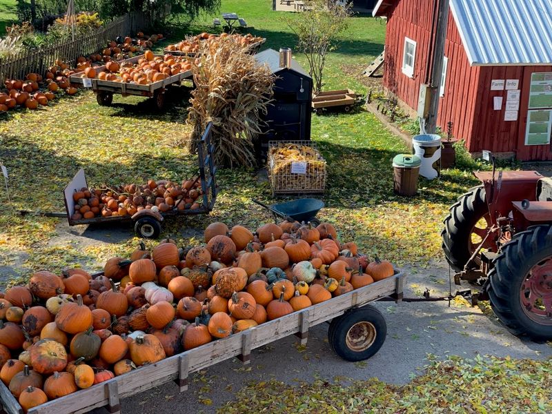 Why This Farm Deserves A Spot On Your Fall List