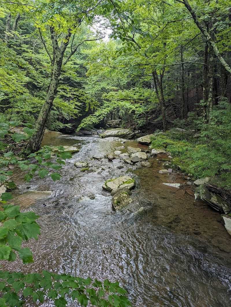 The Nature Trail That Walks Through History