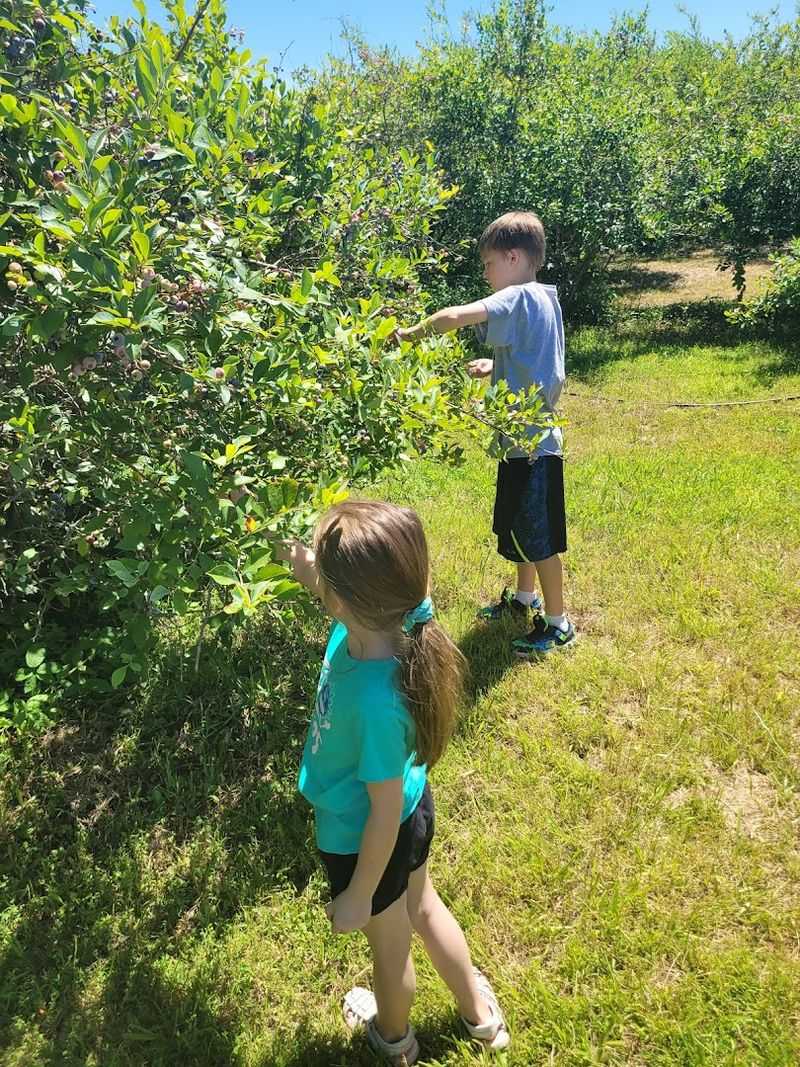 Seasonal Pumpkin Patch Adventures